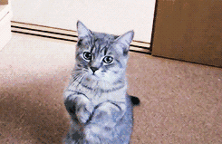 tu7.gif
