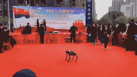 1610430522494066.gif